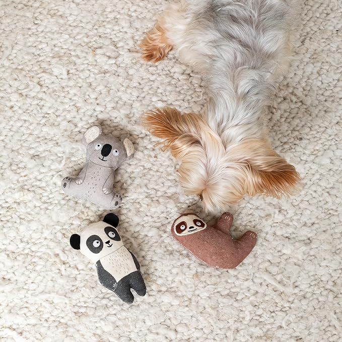 Fringe Studio "Cuddle Buddies Canvas Mini Dog Toy Set of 3, PetShop Collection (521023)