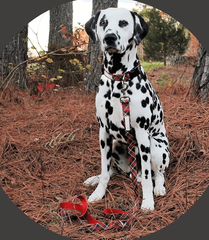 Lucky Love Dog - Adjustable Dog Collar with Easy Click Buckle for Small to Large Ones, Durable, & Comfortable for Male & Female Dogs, Pet Collar for Puppies & Adult Dogs - Heywood, XL