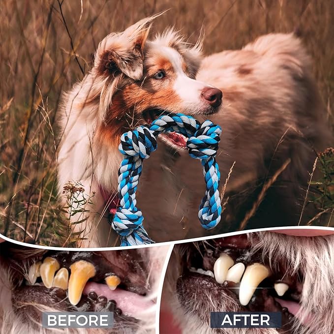 2 Pack Dog Rope Toys, Indestructible Dog Toy for Large/Medium Aggressive Chewers, Tough Chew Rope Tug of War for Dogs, Interactive Rope Toy for Boredom, Teeth Cleaning (390g/each)