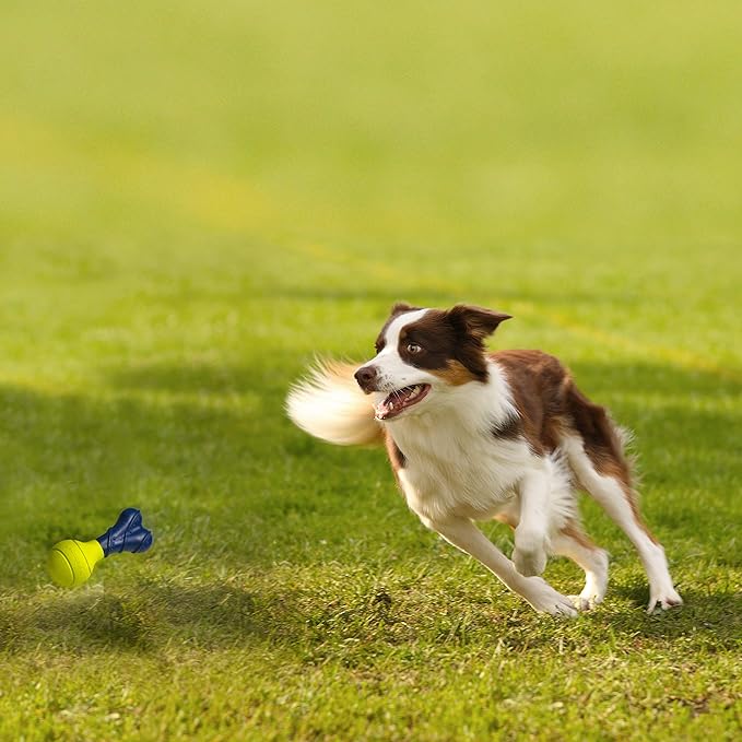 Nylabone Power Play Fetch-a-Bounce Interactive Play Toy, Fetch Toy for Dogs, Small (1 Count)
