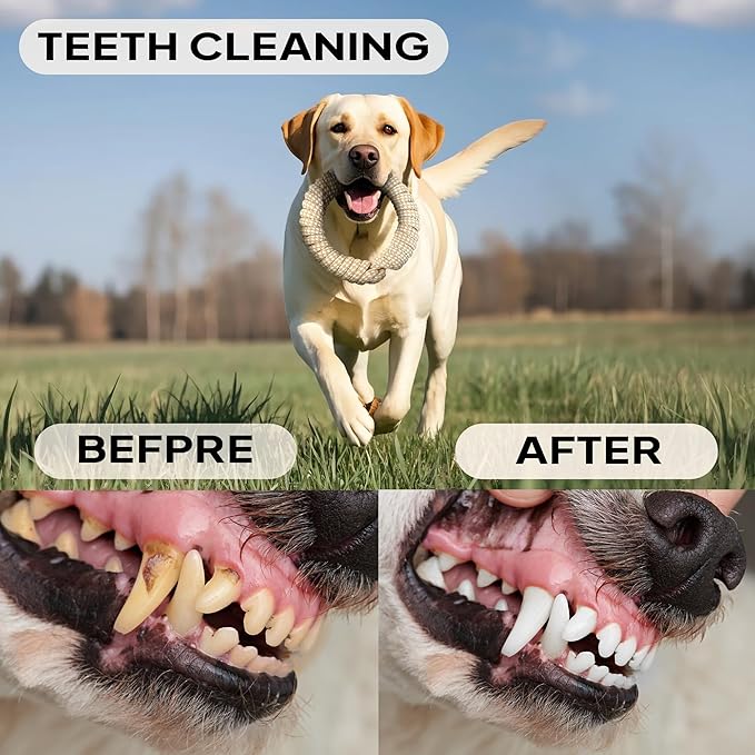 PetiFine Dog Rope Toys for Large Medium Dogs, 4 Pack Tough Chew Toys for Aggressive Chewers, Interactive Rope Ball Natural Cotton, Dog Tug of War Toy for Teeth Cleaning