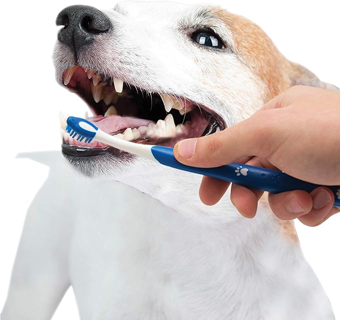 Nylabone Advanced Oral Care Puppy Dental Kit Puppy Original 3 Count