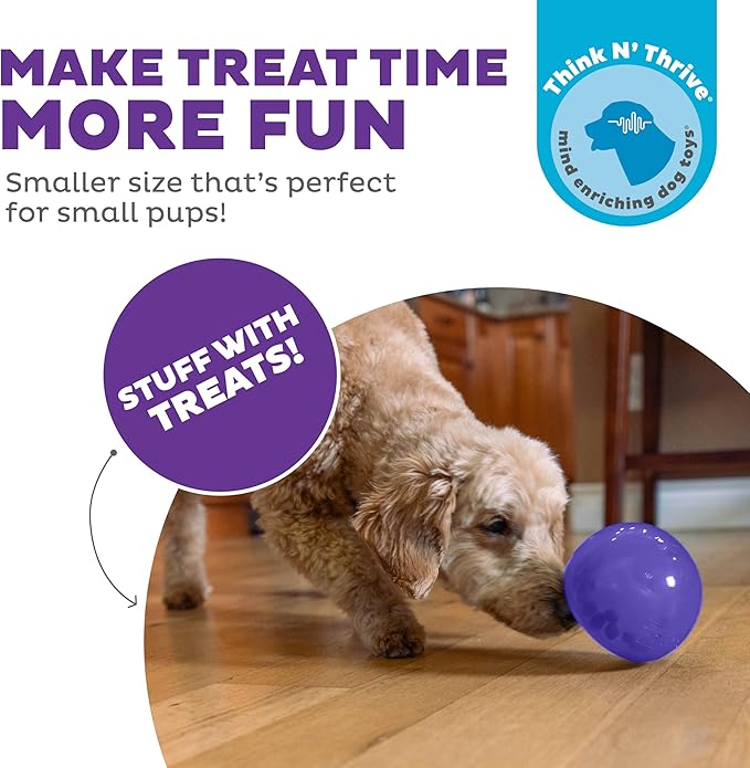 Outward Hound by Planet Dog Lil' Snoop Durable Interactive Treat Dispensing Dog Toy, Small, Purple