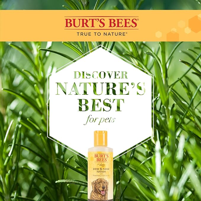 Burt's Bees for Pets Paw and Nose Lotion with Rosemary and Olive Oil, 2pk, 99.7% Natural Origin Formulas, Dog Paws and Pad Moisturizer, Caine Nose Soothing Formula, 2pk, 4oz