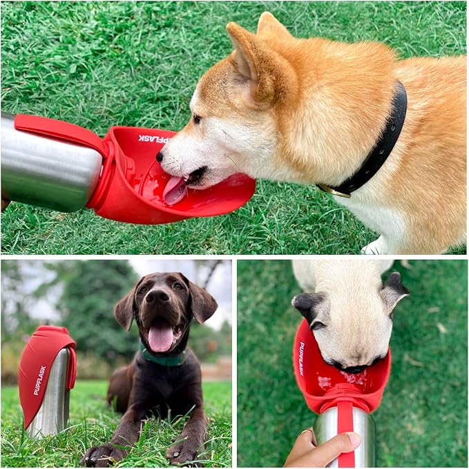 PupFlask Large Dog Water Bottle | 27 or 40 OZ Stainless Steel | Convenient Dog Drink Dispenser | Puppy Travel Water Bowl | Portable Pet Hydration Bottle | Leak Proof | Perfect Size For All Breeds