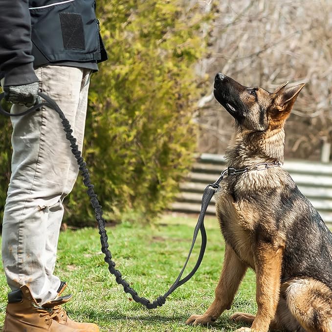 rabbitgoo Tactical Bungee Dog Leash with Shock Absorption, Military Training Leash with 2 Padded Control Handles for Medium Large Dogs, 6FT, Black