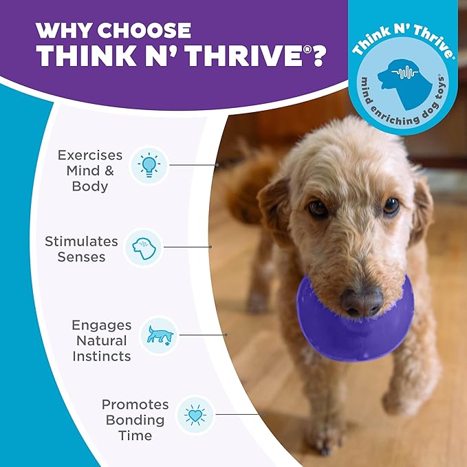 Outward Hound by Planet Dog Lil' Snoop Durable Interactive Treat Dispensing Dog Toy, Small, Purple
