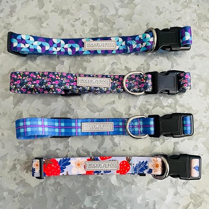 Lucky Love Dog - Adjustable Dog Collar with Easy Click Buckle for Small to Large Dogs, Durable, & Comfortable for Male & Female Dogs, Pet Collar for Puppies & Adult Ones - Jasper, XS
