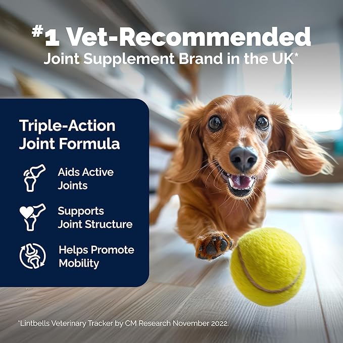 YuMove Young Dog Joint Supplement with Glucosamine for Dogs, Chondroitin, Omega 3, Hyaluronic Acid, and Green Lipped Mussel - Joint Supplement for Dogs Under 5 Years - 60 Tablets