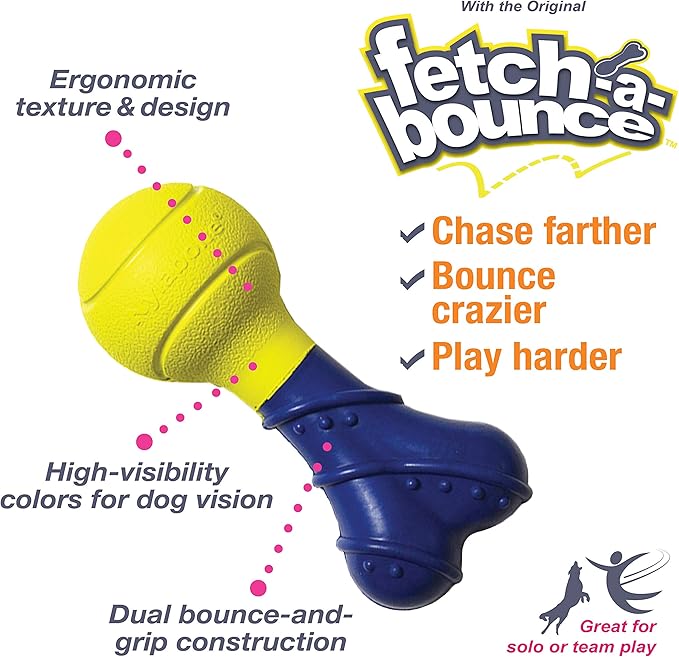Nylabone Power Play Fetch-a-Bounce Interactive Play Toy, Fetch Toy for Dogs, Small (1 Count)