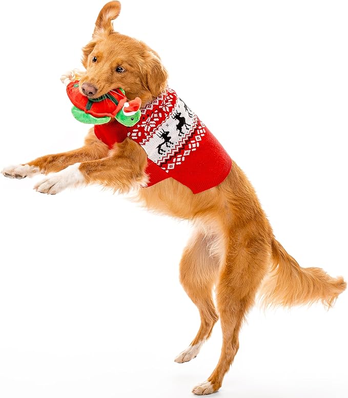 Holiday Collection Dog Toys | Medium Sized Santa - Timmy The Turtle | Cute, Durable, & Sustainable Plush Chew Toys for Dogs | Christmas Stocking Stuffer Gift