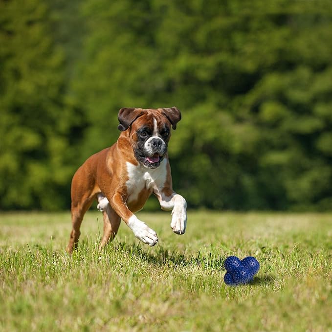 Nylabone Power Play Crazy Ball Interactive Play Toy, Fetch Ball Toy for Dogs, Large (1 Count)