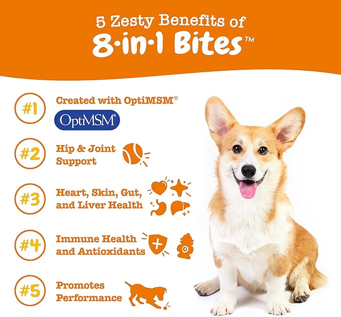 Zesty Paws Multivitamin Treats for Dogs, Glucosamine Chondroitin Joint Support + Digestive Enzymes & Probiotics, Grain Free Dog Vitamins and Supplements for Skin & Coat, Peanut Butter - 90ct