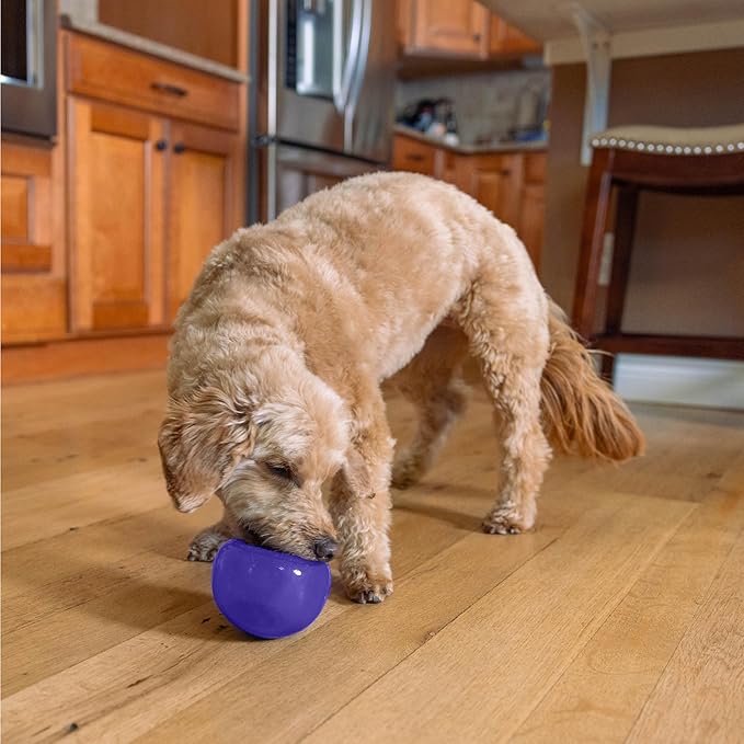 Outward Hound by Planet Dog Lil' Snoop Durable Interactive Treat Dispensing Dog Toy, Small, Purple