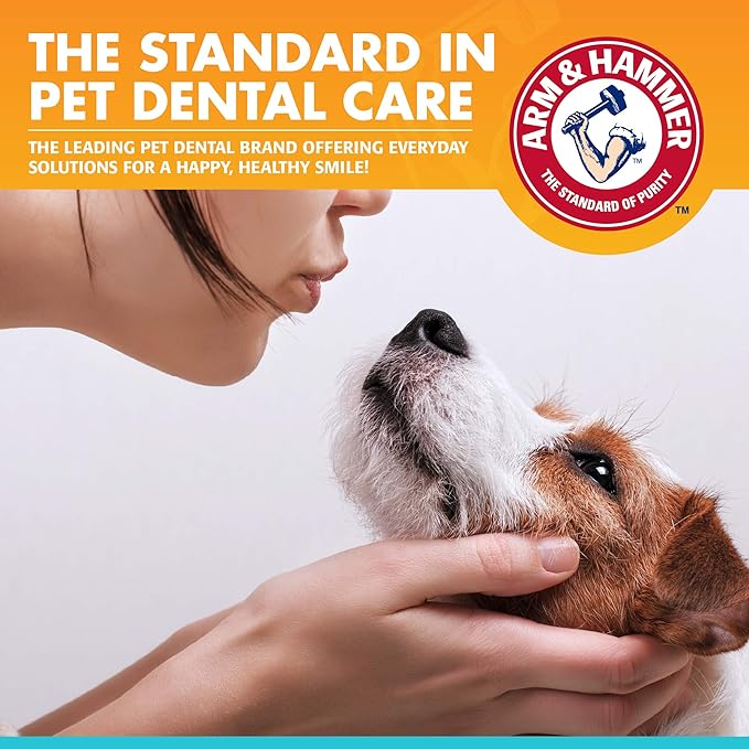 Arm & Hammer for Pets Clinical Care Dental Enzymatic Toothpaste for Dogs Soothes Inflamed Gums Safe for Puppies 1 Pack Fresh Breath Vanilla Ginger (Pack of 1)
