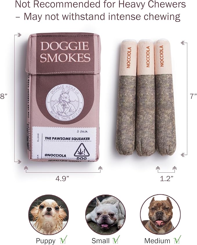 Nocciola Funny Squeaky Dog Toys, Cool Stuffed Plush Toys for Medium, Small and Large, Accessories for Dog Birthday - Doggie
