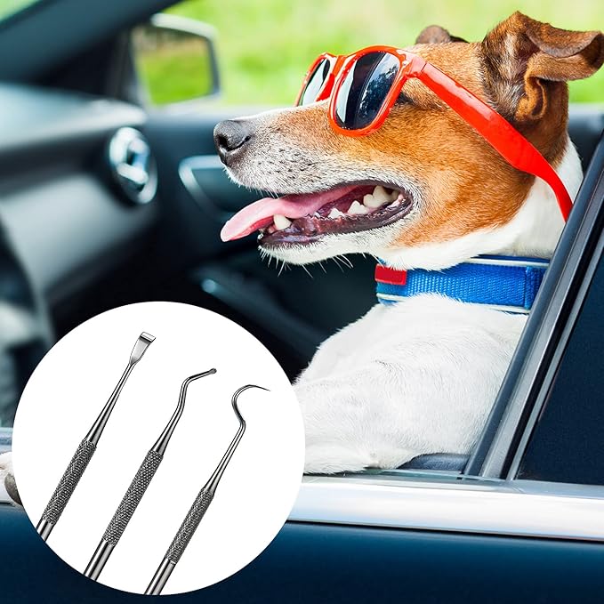 3 Pieces Dog Dental Tooth Scaler and Scraper Stainless Double Headed Tarter Removing Tool Scraper Pet Teeth Cleaning Tools for Dog and Cat