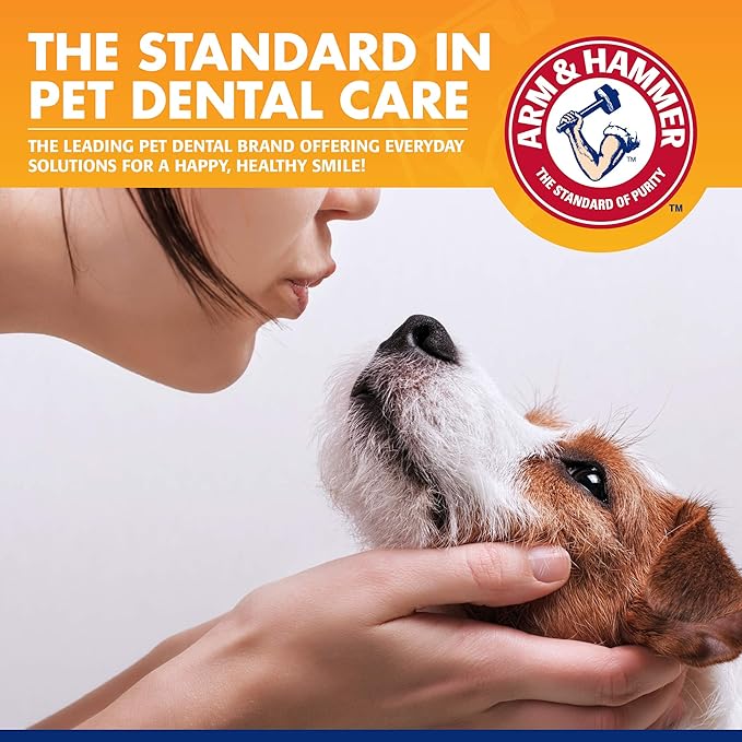 Arm & Hammer for Pets Tartar Control Enzymatic Toothpaste for Dogs Reduces Plaque & Tartar Buildup Safe for Puppies Beef Flavor, 2.5 Ounces Dog Toothpaste (Pack of 1)