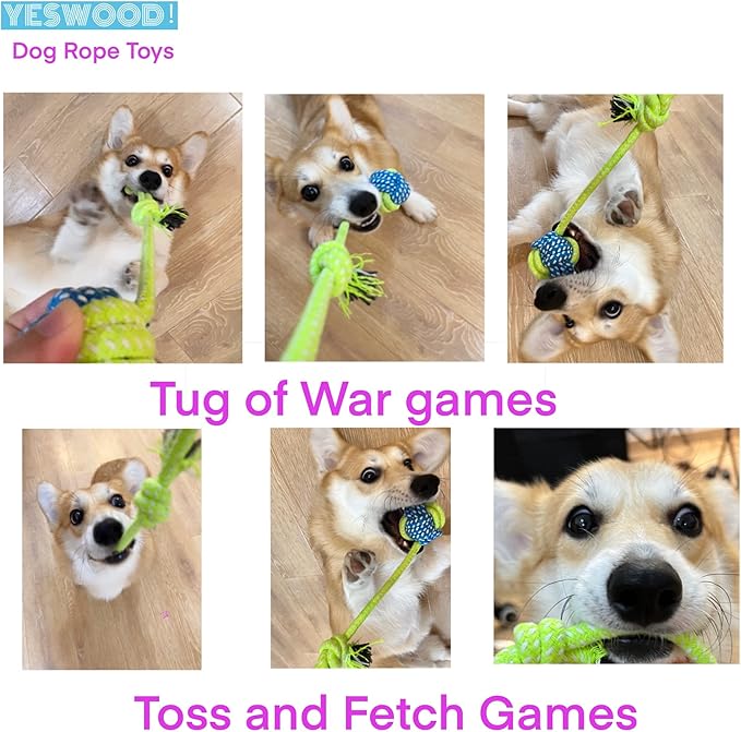 Tug of War Dog Toy Small Breed,Dog Ball with Rope,4-Pack Rope with Ball Attached for Small and Medium Breed 0-80 Pounds,Puppy Interactive Toy