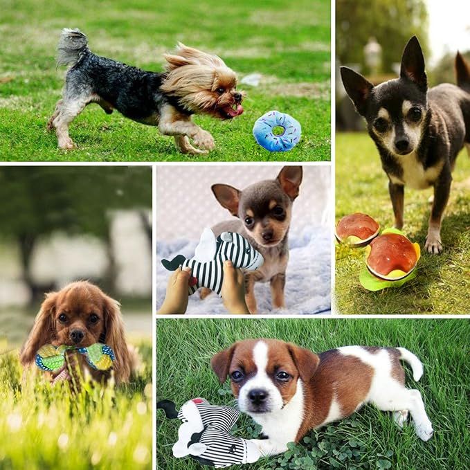Dog/Puppy Teething Toys, Assorted Chew Toys, 6 ct