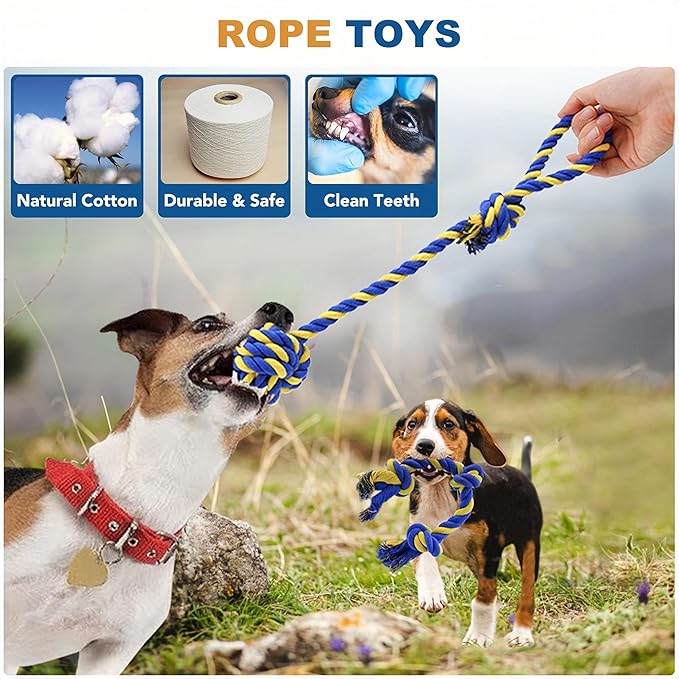 5 Pack Various Dog Toys Chew Toys for Fun and Teeth Cleaning, Dog Squeak Plush Toys, Squeaky Toy Balls, Dog Chew Toys, Dog Rope Toys (5 Pack)