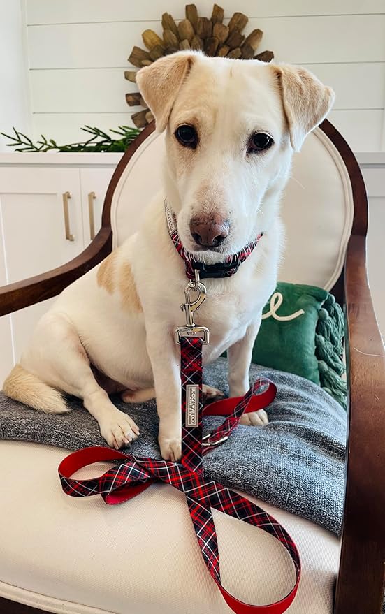 Lucky Love Dog - Adjustable Dog Collar with Easy Click Buckle for Small to Large Ones, Durable, & Comfortable for Male & Female Dogs, Pet Collar for Puppies & Adult Dogs - Heywood, XL