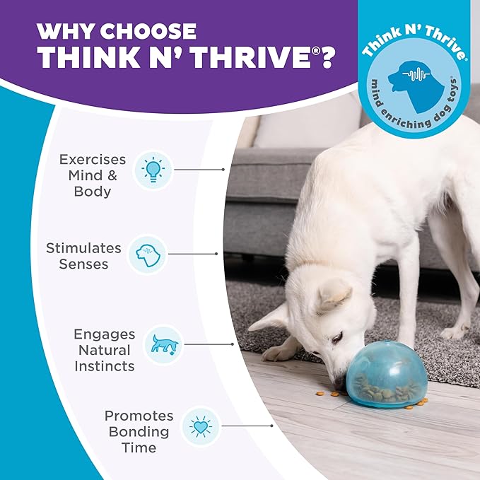 Outward Hound by Planet Dog Snoop Durable Interactive Treat Dispensing Dog Toy, Large, Blue