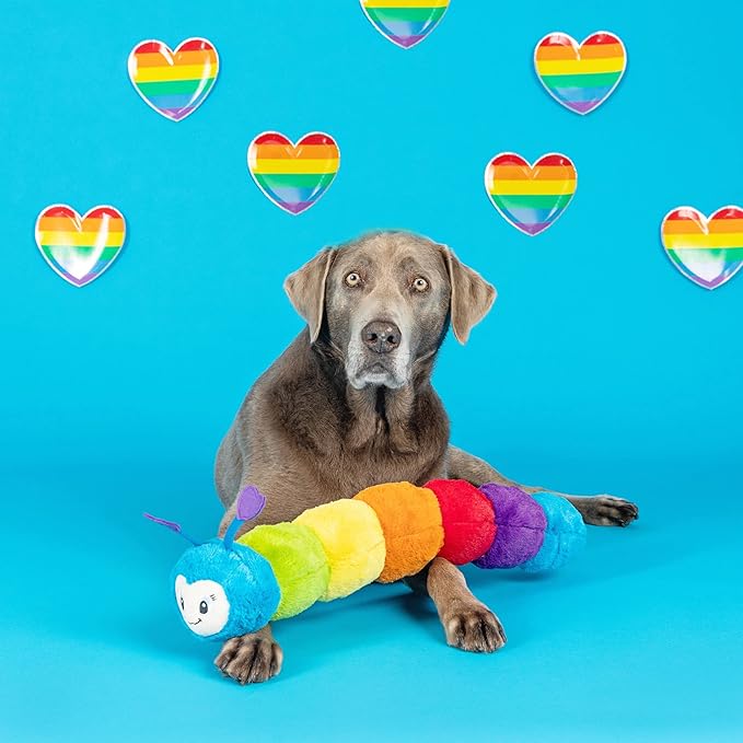 Fringe Studio Large Plush Dog Toy, Don't Bug ME Plush(314050), Multicolor