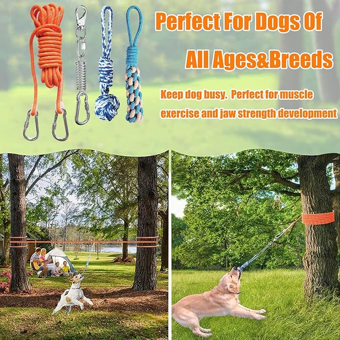 Outdoor Hanging Bungee Dog Toy, Interactive Tether Tug of War Toy for Pitbull Small to Large Breeds, Tree Tugger Rope with Spring Pole, 2 Dog Rope Toys