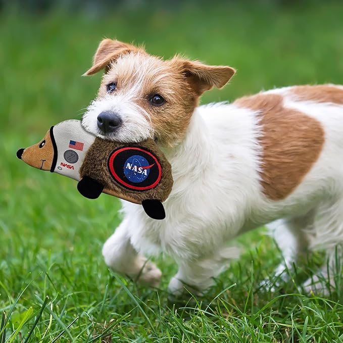 NASA Plush Hedgehog Toy for Dogs & Cats, Cool Soft Pet Toy for Fun and Interactive Play, Dog Chew Toy with Squeaker
