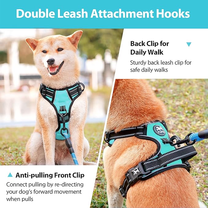 PoyPet No Pull Dog Harness, No Choke Front Clip Dog Reflective Harness, Adjustable Soft Padded Pet Vest with Easy Control Handle for Small to Large Dogs(Mint Blue,L)