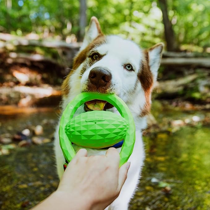 Hound2O Outdoor Dog Toys - Squeaky Tug Ball, Green - Tough, Engaging, Interactive Chew Toys - Chew, Chase, & Fetch - Durable Materials That Float - Easy to Clean for Outdoor Play - Non-Toxic Materials