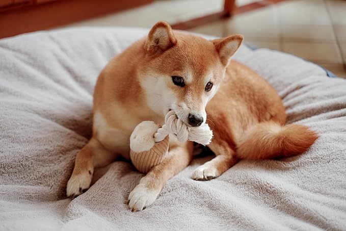 Squeaky Dog Plush Toy, Bakery Bite_Stick Collection, 12", for Various Sized Dogs (Cannoli, Large)