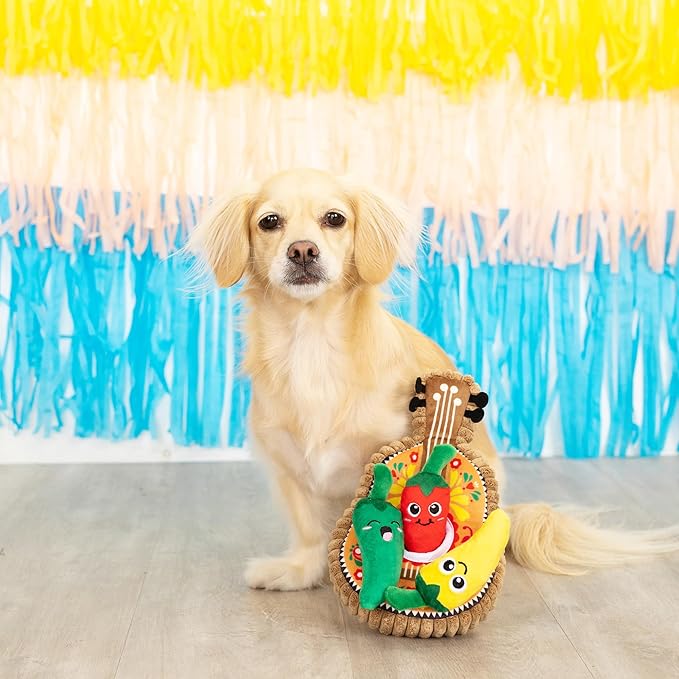 Fringe Studio Plush Dog Toy Set, Interactive Hide and Seek Play, Fiesta Till You Siesta, Pet Shop Collection (289226)