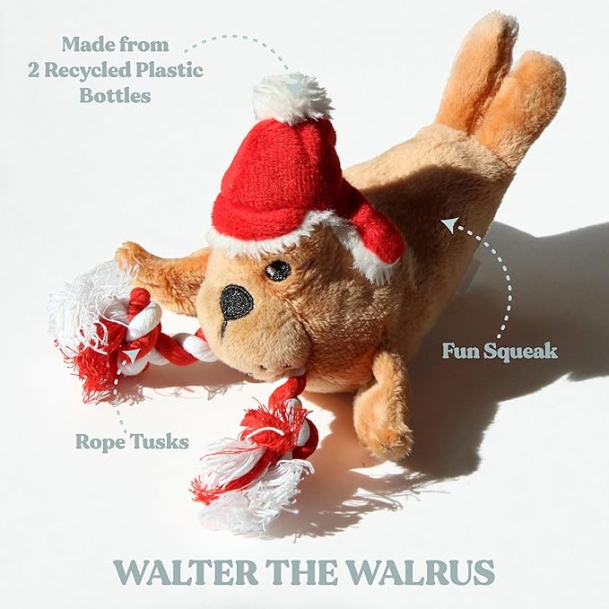 Holiday Collection Dog Toys | Small Sized Santa - Walter The Walrus | Cute, Durable, & Sustainable Plush Chew Toys for Dogs | Christmas Stocking Stuffer Gift