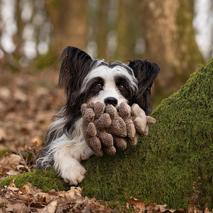Plush Pinecone Dog Toys-Interactive, Squeaky, Snuffle, Treat Dispensing, Nose Work Game for Small and Medium Dogs