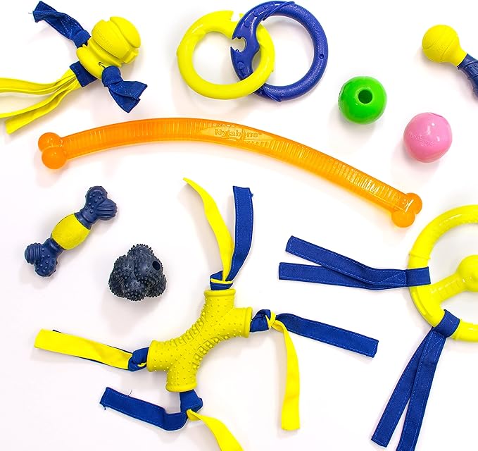 Nylabone Power Play Crazy Ball Interactive Play Toy, Fetch Ball Toy for Dogs, Large (1 Count)