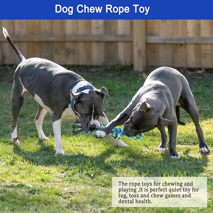 Dog Bungee Tug Toy Hanging from Tree,Outdoor Tether Tug of War Interactive Dog Rope with Chew Lure for Small Medium Large Dogs (Blue)