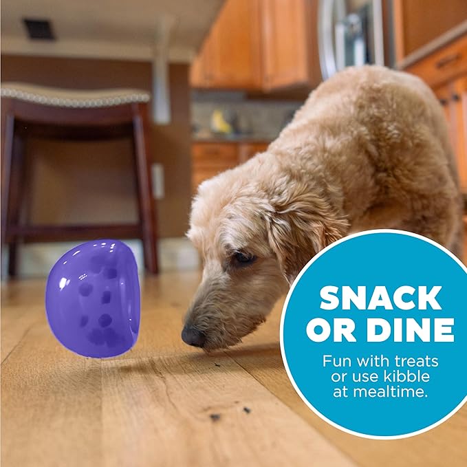 Outward Hound by Planet Dog Lil' Snoop Durable Interactive Treat Dispensing Dog Toy, Small, Purple