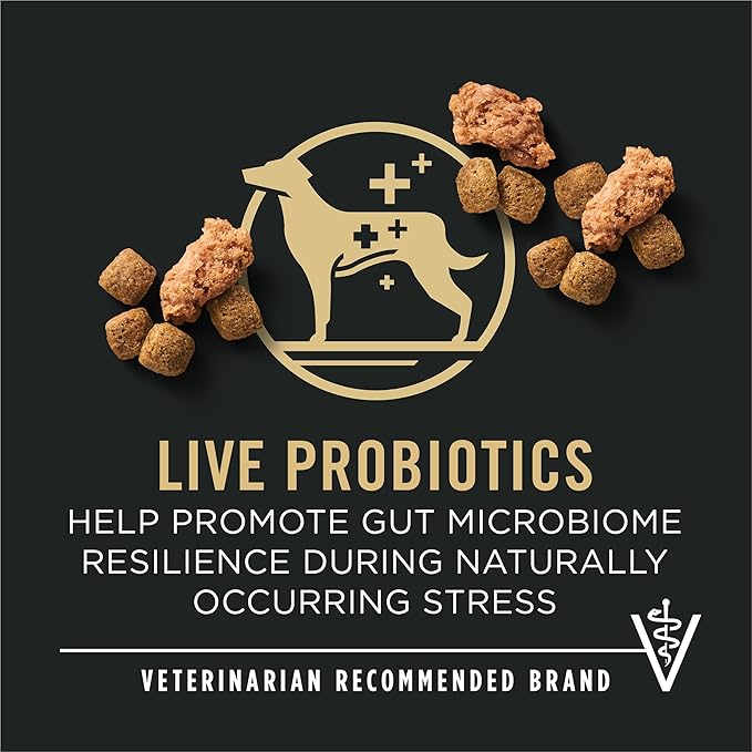 Purina Pro Plan Adult 7 Plus Complete Essentials Shredded Blend Beef and Rice Formula High Protein Dog Food for Senior Dogs - 34 lb. Bag