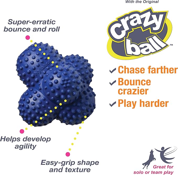 Nylabone Power Play Crazy Ball Interactive Play Toy, Fetch Ball Toy for Dogs, Large (1 Count)