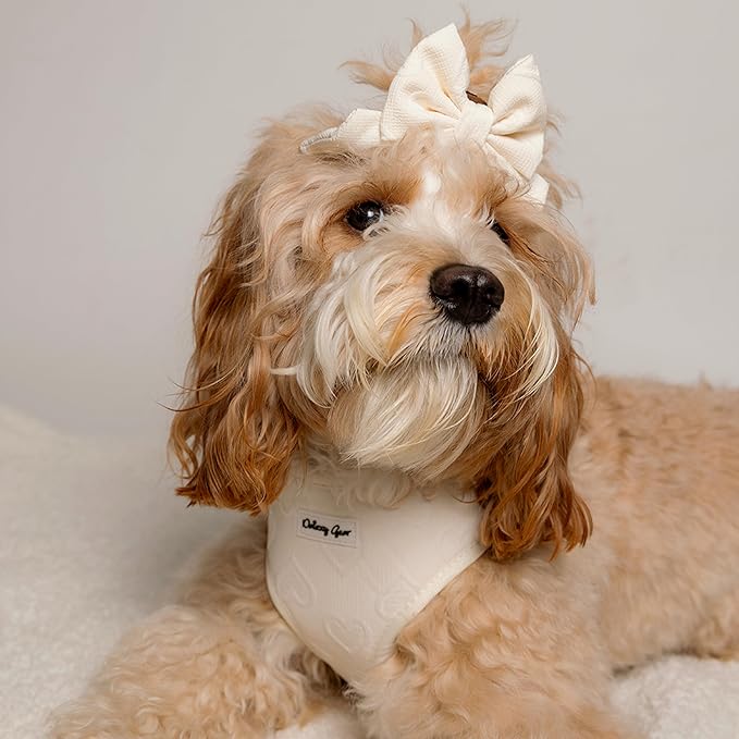 Medium Dog Harness Set – No Pull Harness with Matching Leash, Collar, Bandana, Sailor Bow & Poop Bag Holder – Pastel Cream with Heart Embroidery – Adjustable, Soft, Aesthetic Outfit