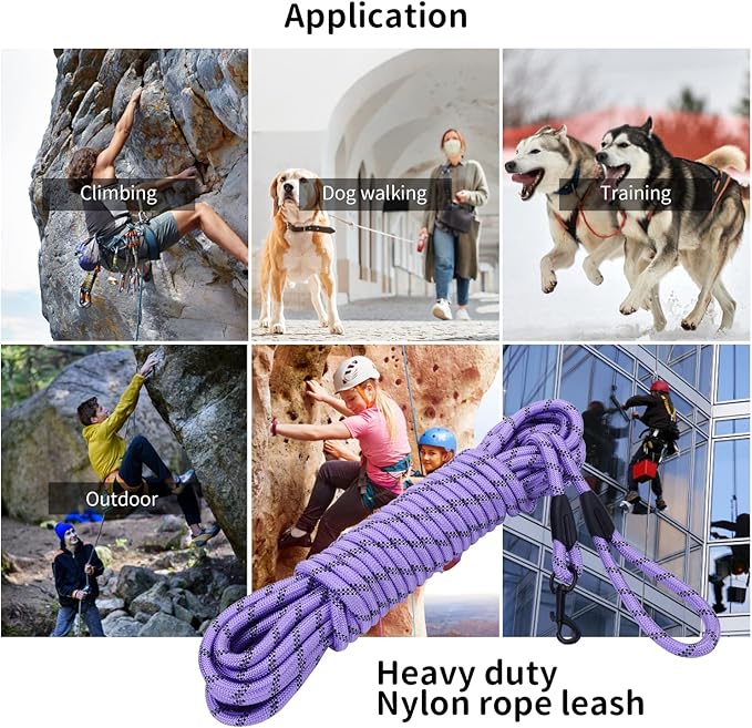 Long Dog Leash for Training 30Ft-Reflective Nylon Rope with Swivel Hook-Recall Agility Lead for Large Small Medium Dogs Outside Walking Hiking-Purple