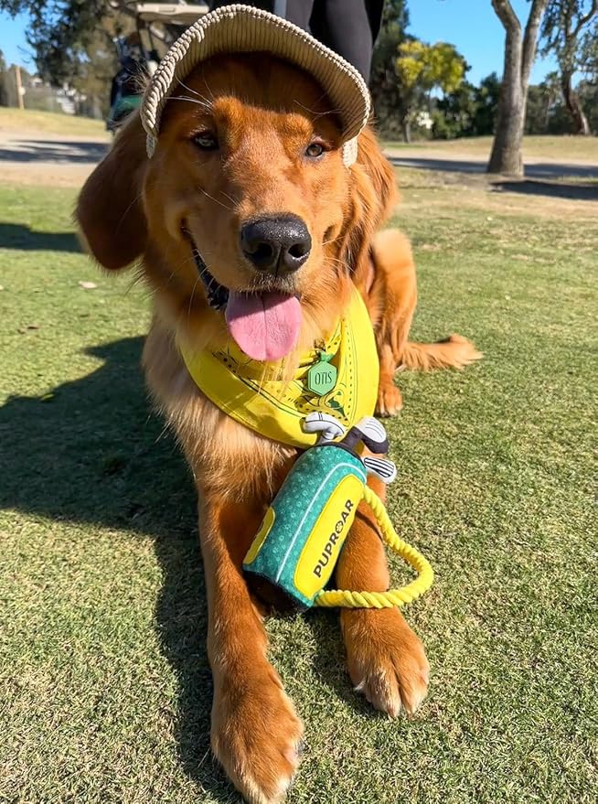 Golf Dog Toy – Funny Dog Toy with Squeaker, Crinkle & Rope – Plush Golf Club Bag for Puppies, Cute Birthday Gifts