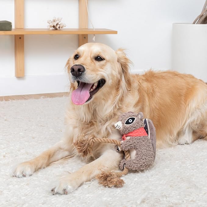 Fringe Studio "MS CHIP Mixed Material Dog Toy, Exclusive Artwork by Madison Safer, PetShop Collection (765003)