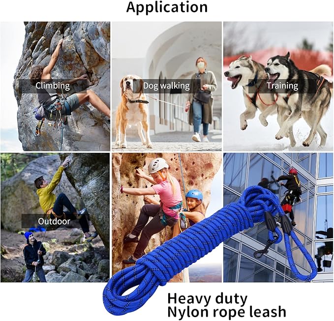 Long Dog Leash for Training 20Ft-Reflective Nylon Rope with Swivel Hook-Recall Agility Lead for Large Small Medium Dogs Outside Walking Hiking-Royal Blue Diam 1/2"