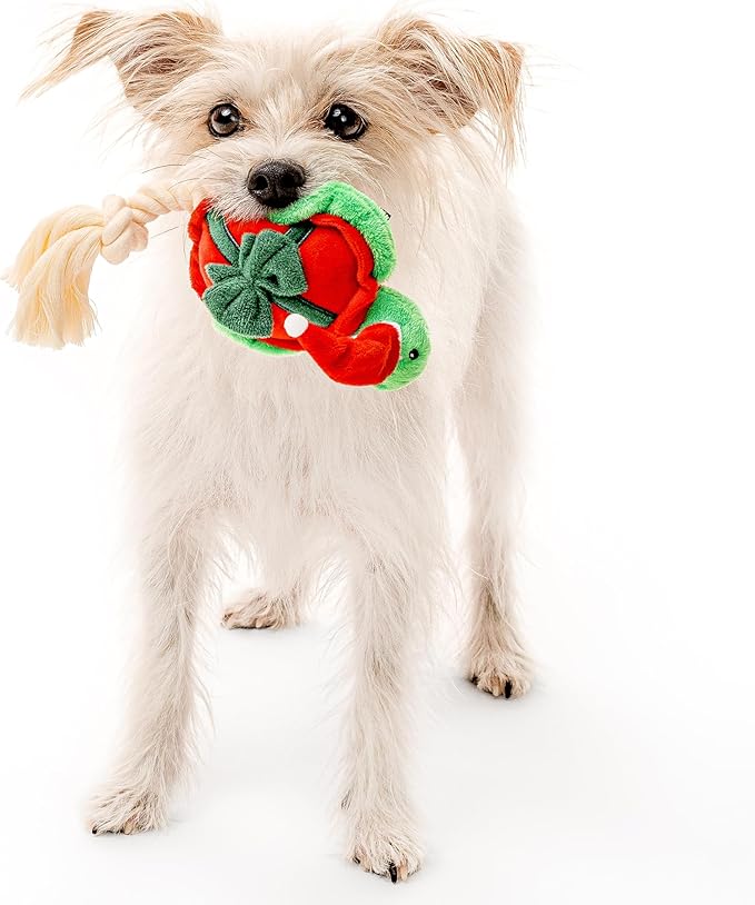 Holiday Collection Dog Toys | Small Sized Timmy The Turtle | Cute, Durable, & Sustainable Plush Chew Toys for Dogs | Festive Stocking Stuffer Gift