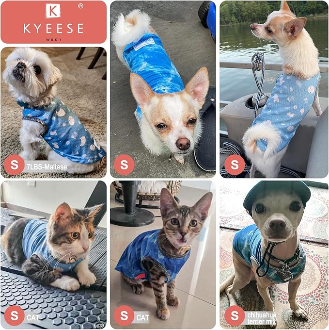 KYEESE 2 Pack Dog Cooling Shirts - Breathable Instant Cooling Vests, Lightweight for Summer Dog Apparel, Blue+Grey, Small