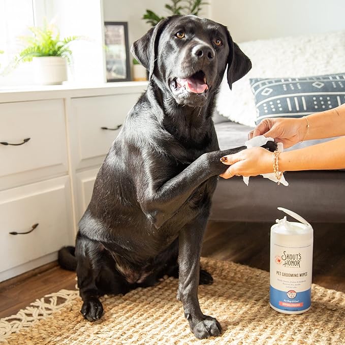 SKOUT'S HONOR Pet Grooming Wipes for Dogs and Cats - Deodorizing, Plant-Based, Biodegradable, Fragrance-Free - for Paws, Faces, Skin Folds & Bums, 80 Count