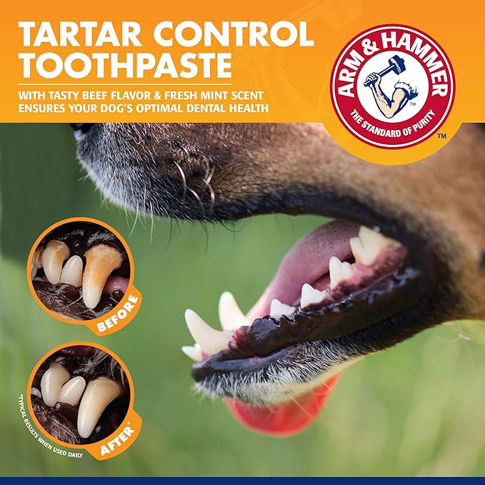 Arm & Hammer for Pets Tartar Control Enzymatic Toothpaste for Dogs Reduces Plaque & Tartar Buildup Safe for Puppies Beef Flavor, 2.5 Ounces Dog Toothpaste (Pack of 1)
